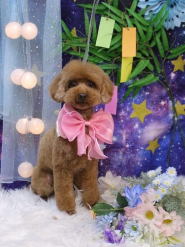 20250712むぎちゃん